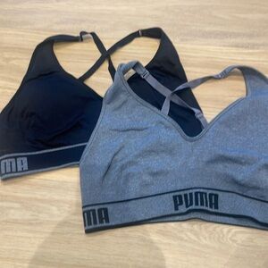 Puma sports bras
